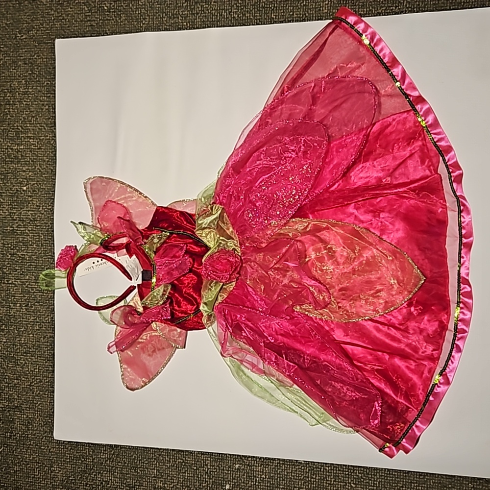 Authentic Kids Fairy Dress Costume